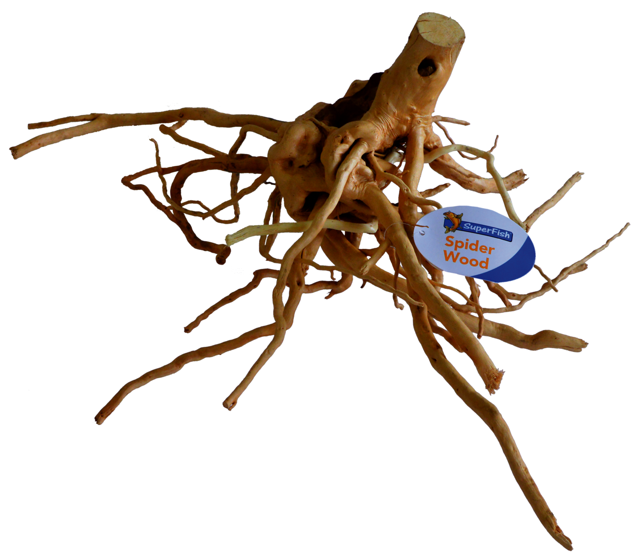Madera de araña grande