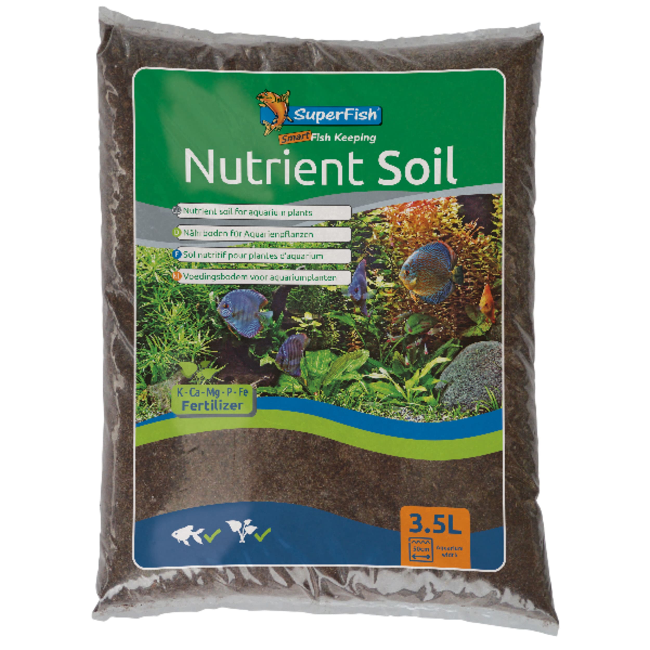 Berry, Blueberry, Fruit, Cushion, Fish