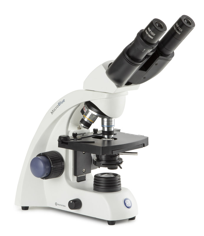 Microscopio binocular