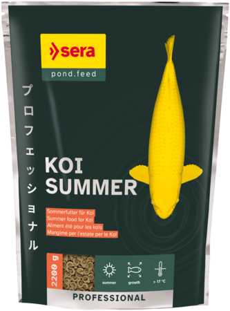 Animal, Fish, Sea Life, Advertisement