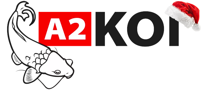 Ir a la página inicial