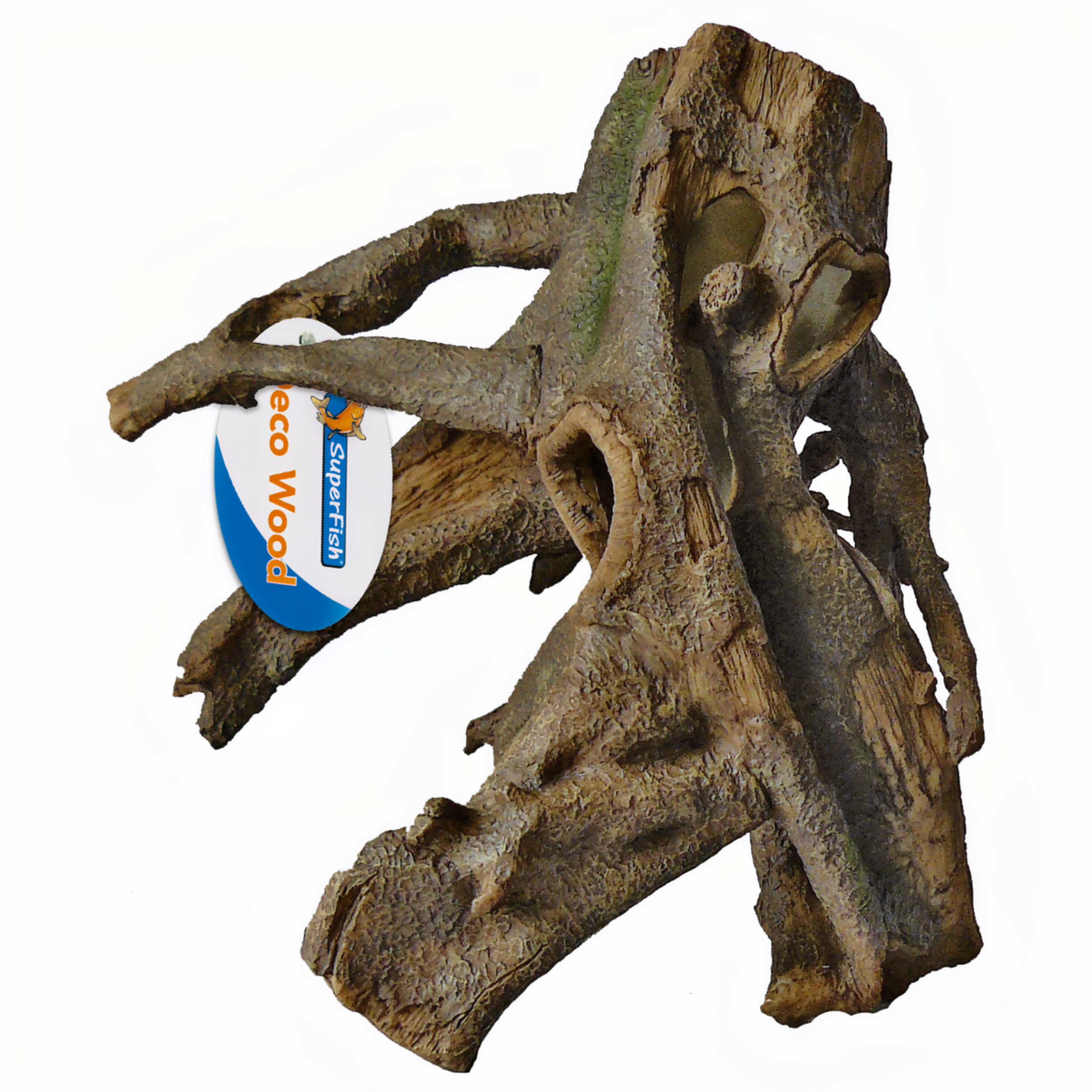 Wood, Plant, Tree, Dinosaur, Reptile