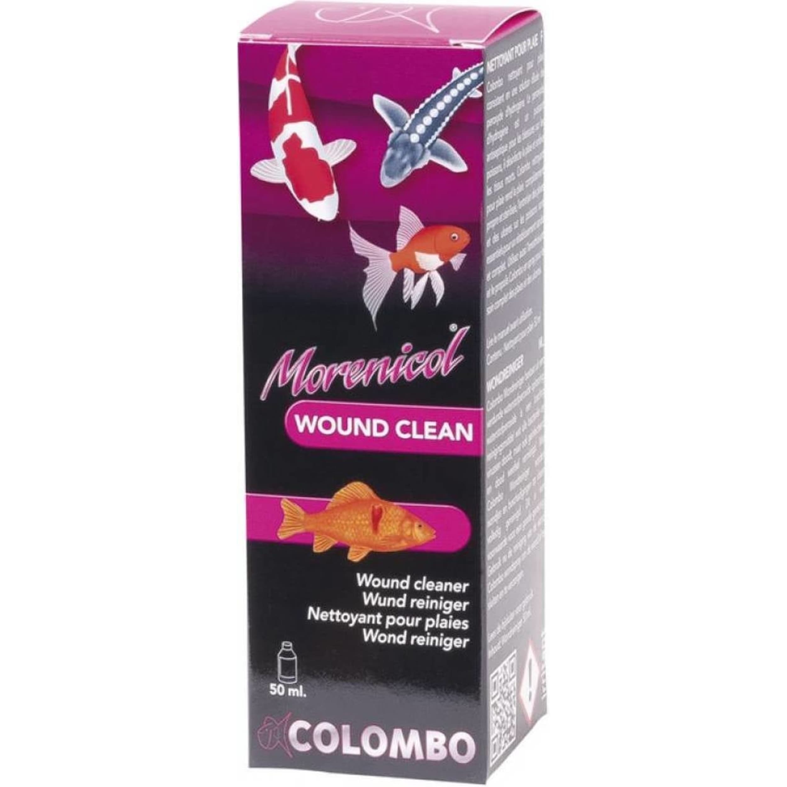 Animal, Fish, Sea Life