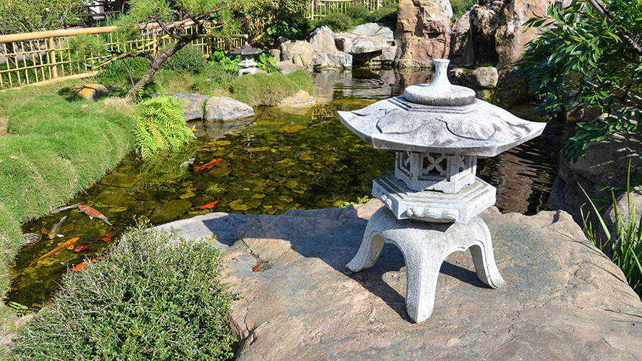 Nature, Outdoors, Pond, Water, Garden